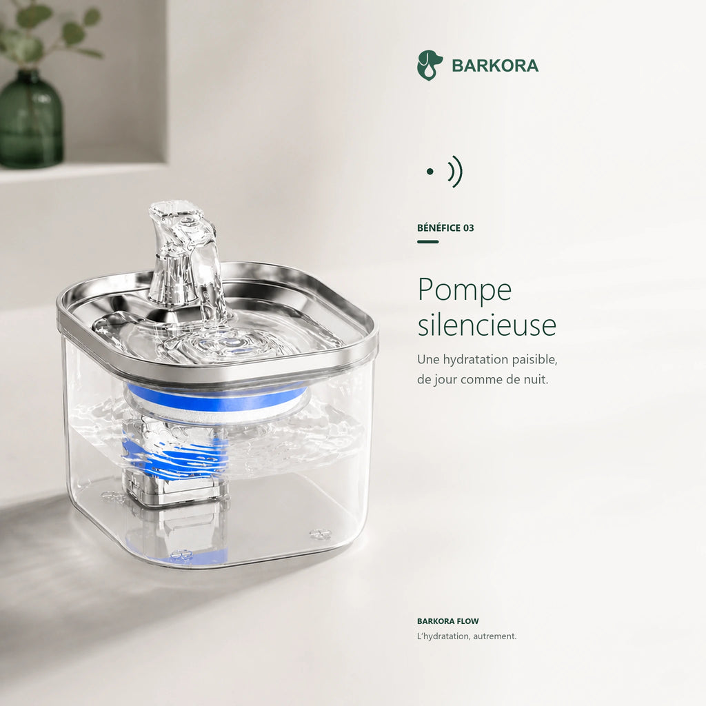 Barkora Flow™ – Fontaine à eau premium en acier inoxydable
